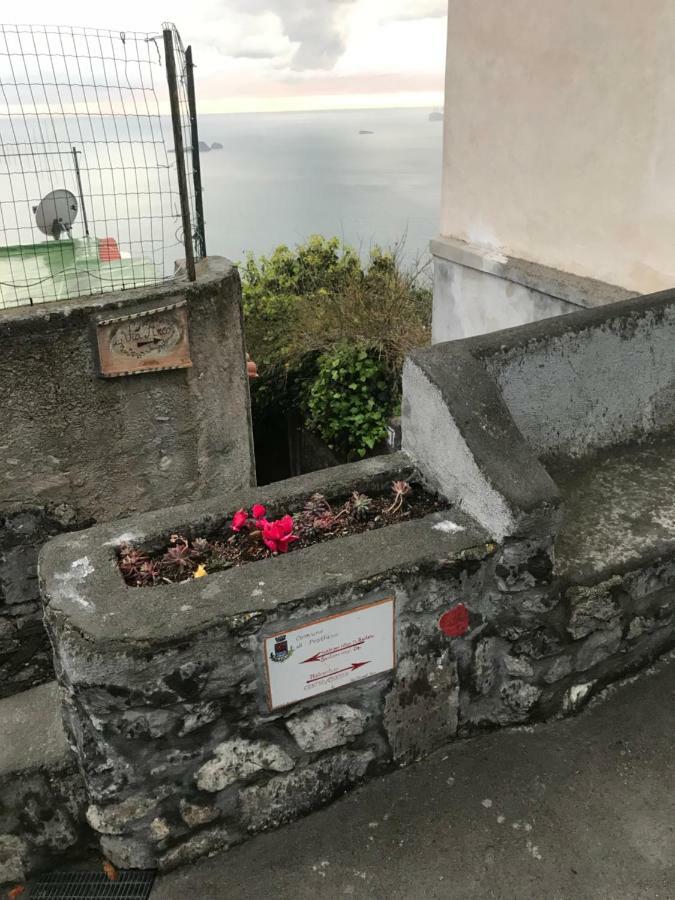 פוזיטנו Maison Rosa מראה חיצוני תמונה