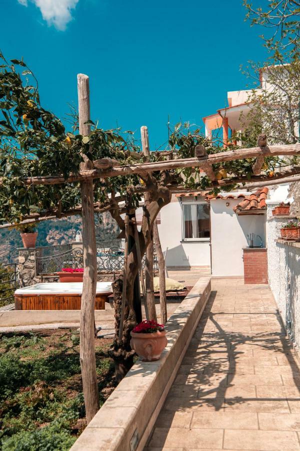 פוזיטנו Maison Rosa מראה חיצוני תמונה